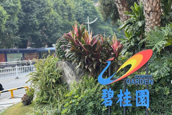 碧桂园证实债务重组有蓄意获法院通过